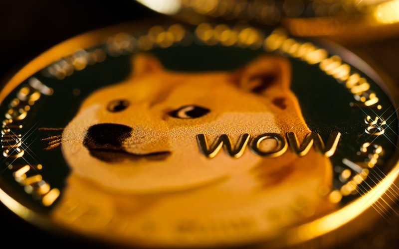 What Is Dogecoin - Musk's Favorite Crypto